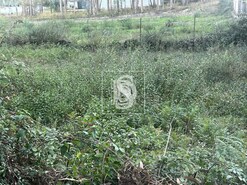 Terreno R�stico T0 - Eiriz, Pa�os de Ferreira, Porto - Miniatura: 6/6