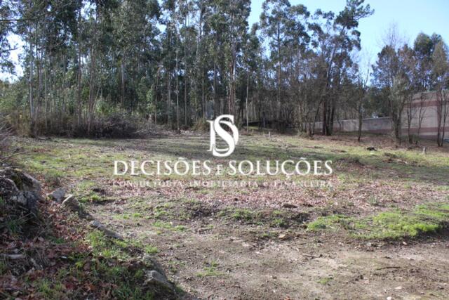 Terreno R�stico - Carvalhosa, Pa�os de Ferreira, Porto - Imagem grande