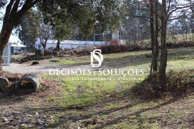 Terreno R�stico - Carvalhosa, Pa�os de Ferreira, Porto - Miniatura: 3/4