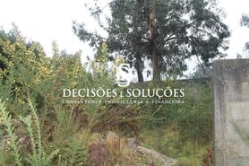 Terreno R�stico - Carvalhosa, Pa�os de Ferreira, Porto - Miniatura: 6/7