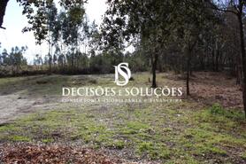 Terreno R�stico - Carvalhosa, Pa�os de Ferreira, Porto - Miniatura: 4/4