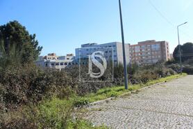 Terreno R�stico - Valongo, Valongo, Porto - Miniatura: 5/7