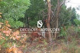 Terreno R�stico - Carvalhosa, Pa�os de Ferreira, Porto - Miniatura: 4/7