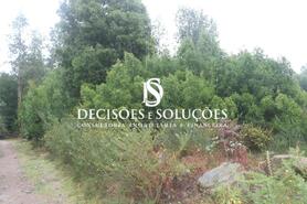 Terreno R�stico - Carvalhosa, Pa�os de Ferreira, Porto - Miniatura: 7/7