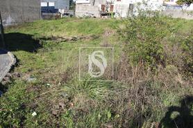 Terreno R�stico - Campo, Valongo, Porto - Miniatura: 1/4
