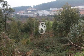 Terreno R�stico T0 - Meixomil, Pa�os de Ferreira, Porto - Miniatura: 4/13