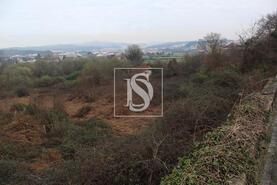 Terreno R�stico - Meixomil, Pa�os de Ferreira, Porto - Miniatura: 1/13