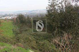 Terreno R�stico - Meixomil, Pa�os de Ferreira, Porto - Miniatura: 5/13