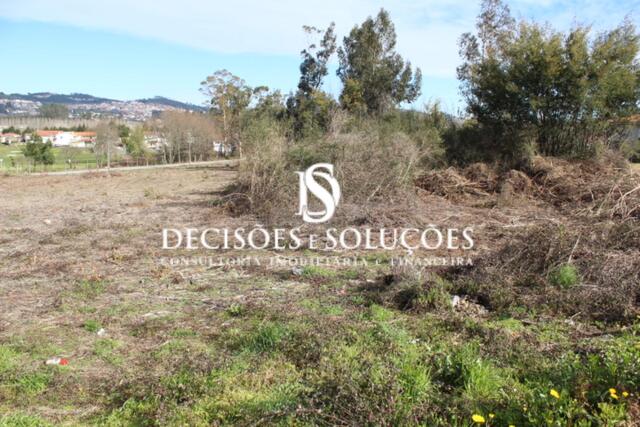 Terreno R�stico - Carvalhosa, Pa�os de Ferreira, Porto - Imagem grande
