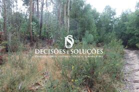 Terreno R�stico - Carvalhosa, Pa�os de Ferreira, Porto