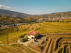 Quinta T4 - Peso da R�gua, Peso da R�gua, Vila Real - Miniatura: 6/17
