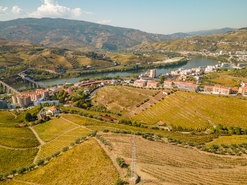 Quinta T4 - Peso da R�gua, Peso da R�gua, Vila Real - Miniatura: 7/17