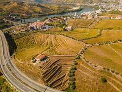 Quinta T4 - Peso da R�gua, Peso da R�gua, Vila Real - Miniatura: 15/17