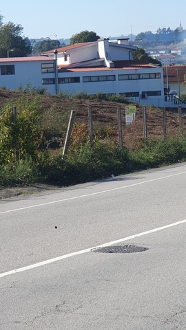 Terreno R�stico - Freamunde, Pa�os de Ferreira, Porto - Imagem grande