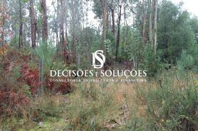 Terreno R�stico - Carvalhosa, Pa�os de Ferreira, Porto - Miniatura: 1/7