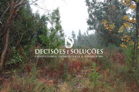 Terreno R�stico - Carvalhosa, Pa�os de Ferreira, Porto - Miniatura: 5/7