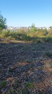 Terreno R�stico - Freamunde, Pa�os de Ferreira, Porto - Miniatura: 1/6