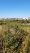 Terreno R�stico - Freamunde, Pa�os de Ferreira, Porto - Miniatura: 3/6