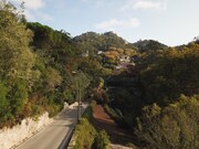Imveis de Luxo - Santa Maria e So Miguel, Sintra, Lisboa - Miniatura: 6/9