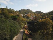 Imveis de Luxo - Santa Maria e So Miguel, Sintra, Lisboa - Miniatura: 7/9