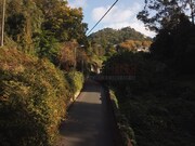 Imveis de Luxo - Santa Maria e So Miguel, Sintra, Lisboa - Miniatura: 9/9