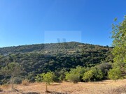 Moradia T3 - Conceio, Faro, Faro (Algarve) - Miniatura: 1/9