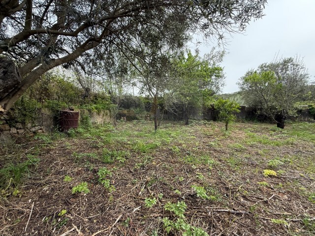 Terreno Urbano - São Brás de Alportel, São Brás de Alportel, Faro (Algarve) - Imagem grande