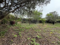 Terreno Urbano - So Brs de Alportel, So Brs de Alportel, Faro (Algarve)
