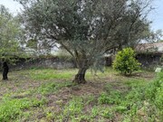 Terreno Urbano - So Brs de Alportel, So Brs de Alportel, Faro (Algarve) - Miniatura: 1/9