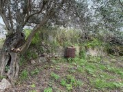 Terreno Urbano - So Brs de Alportel, So Brs de Alportel, Faro (Algarve) - Miniatura: 2/9