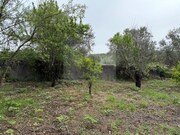 Terreno Urbano - So Brs de Alportel, So Brs de Alportel, Faro (Algarve) - Miniatura: 4/9