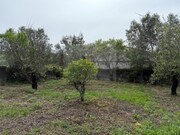 Terreno Urbano - So Brs de Alportel, So Brs de Alportel, Faro (Algarve) - Miniatura: 5/9