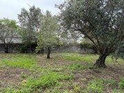 Terreno Urbano - So Brs de Alportel, So Brs de Alportel, Faro (Algarve) - Miniatura: 6/9