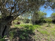 Terreno Urbano - So Brs de Alportel, So Brs de Alportel, Faro (Algarve) - Miniatura: 1/9