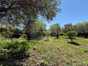 Terreno Urbano - So Brs de Alportel, So Brs de Alportel, Faro (Algarve) - Miniatura: 2/9