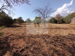 Armazm - So Brs de Alportel, So Brs de Alportel, Faro (Algarve)