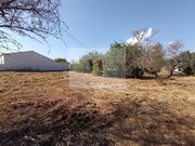 Armazm - So Brs de Alportel, So Brs de Alportel, Faro (Algarve) - Miniatura: 2/9