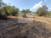 Armazm - So Brs de Alportel, So Brs de Alportel, Faro (Algarve) - Miniatura: 3/9