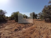 Armazm - So Brs de Alportel, So Brs de Alportel, Faro (Algarve) - Miniatura: 4/9