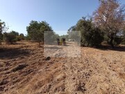 Armazm - So Brs de Alportel, So Brs de Alportel, Faro (Algarve) - Miniatura: 5/9