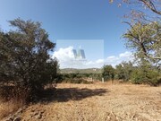 Armazm - So Brs de Alportel, So Brs de Alportel, Faro (Algarve) - Miniatura: 6/9
