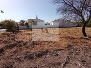 Armazm - So Brs de Alportel, So Brs de Alportel, Faro (Algarve) - Miniatura: 7/9