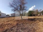 Armazm - So Brs de Alportel, So Brs de Alportel, Faro (Algarve) - Miniatura: 8/9