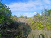 Terreno Rstico - So Brs de Alportel, So Brs de Alportel, Faro (Algarve) - Miniatura: 1/9