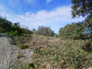 Terreno Rstico - So Brs de Alportel, So Brs de Alportel, Faro (Algarve) - Miniatura: 2/9