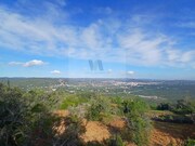 Terreno Rstico - So Brs de Alportel, So Brs de Alportel, Faro (Algarve) - Miniatura: 3/9