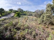 Terreno Rstico - So Brs de Alportel, So Brs de Alportel, Faro (Algarve) - Miniatura: 4/9