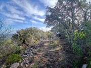 Terreno Rstico - So Brs de Alportel, So Brs de Alportel, Faro (Algarve) - Miniatura: 5/9