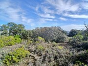 Terreno Rstico - So Brs de Alportel, So Brs de Alportel, Faro (Algarve) - Miniatura: 6/9