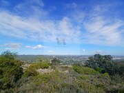Terreno Rstico - So Brs de Alportel, So Brs de Alportel, Faro (Algarve) - Miniatura: 7/9